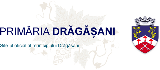 Primaria Dragasani